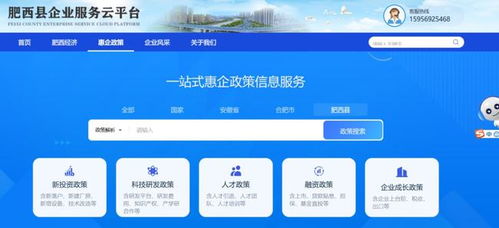 强化政策宣传服务，打造一站式惠企平台 信息技术咨询服务的创新与实践